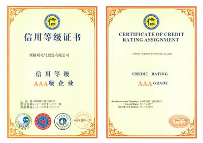 西格碼榮膺湖南省“AAA級信用單位”，企業信用建設再添新章